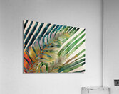 Tropical Palms I  Acrylic Print