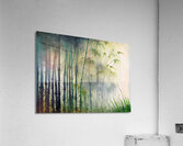 Bamboo Trees in the Fog  Acrylic Print