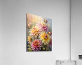Dahlia Blooms and Buds  Acrylic Print