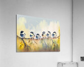 Baby Chickadees on a Branch  Acrylic Print