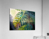 Philodendron Fronds II  Acrylic Print