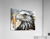 Eagle Eye  Acrylic Print