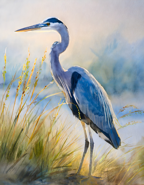 Blue Heron Beachside by Pabodie Art