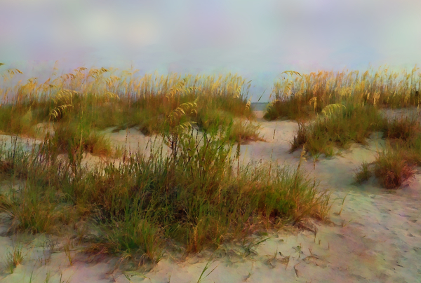 Florida Sand and Sea Oats by Pabodie Art