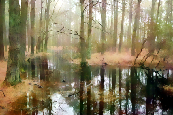 Meandering Backwater Swampy Reflections by Pabodie Art