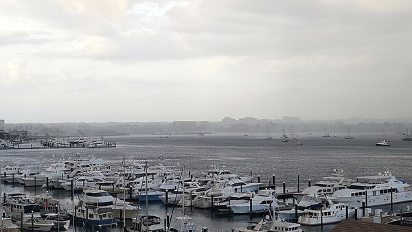 Old Port Cove Marina Print