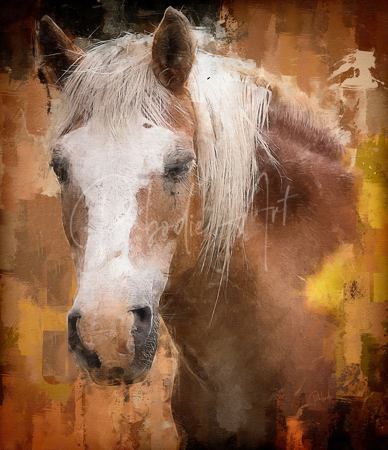 Beautiful Palomino Horse  Print