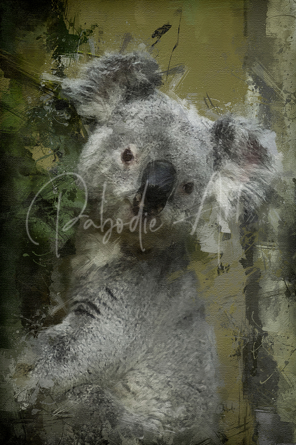 Climbing Koala  Print