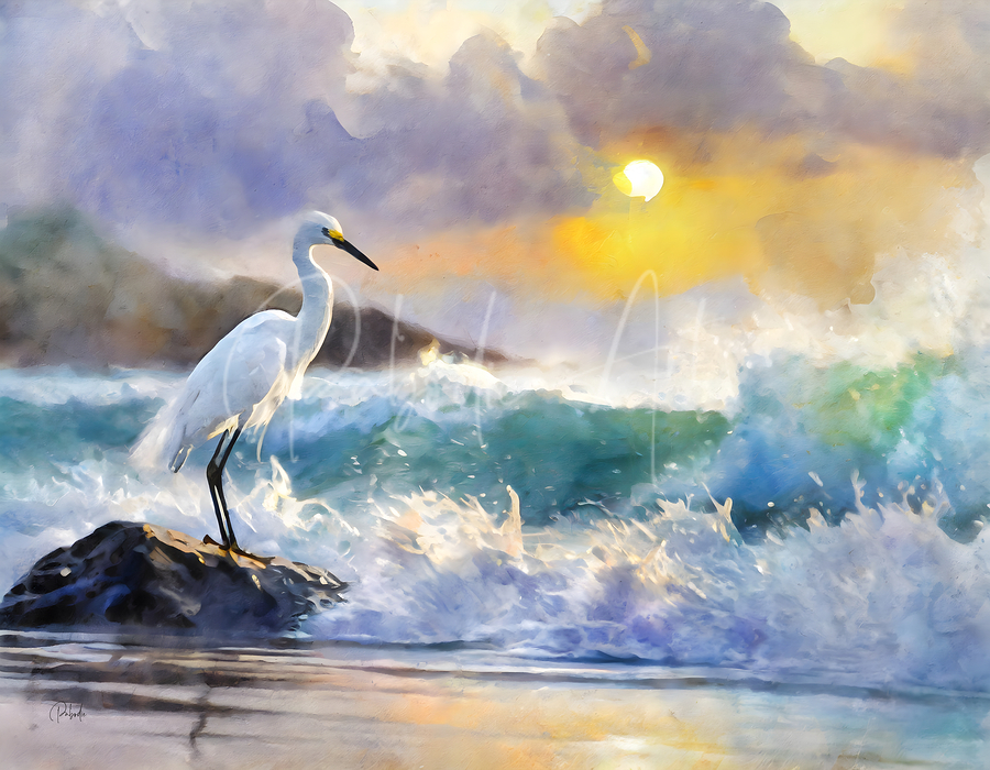 The Egret And The Rough Sea  Print