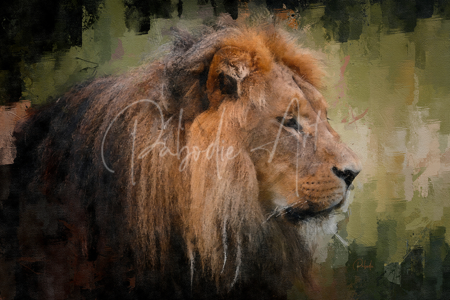 The Lion The King  Print
