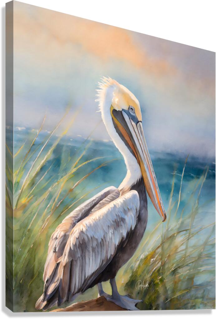 Pelican Shores  Canvas Print