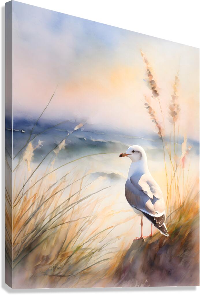 Seagull Perch  Canvas Print