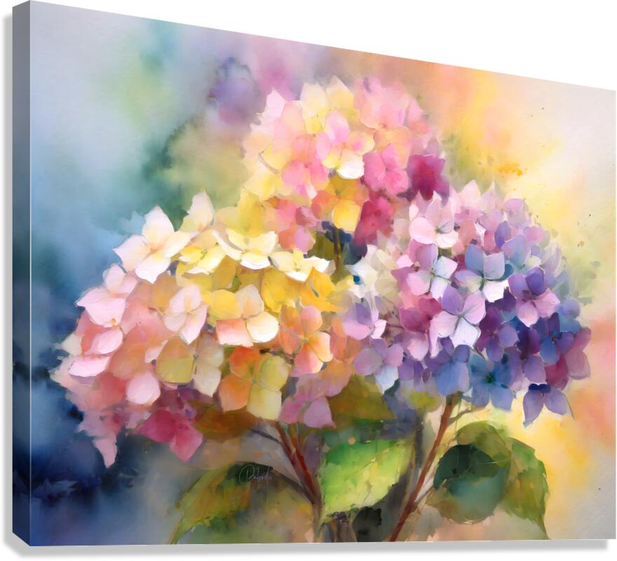 Hydrangea Blooms  Impression sur toile
