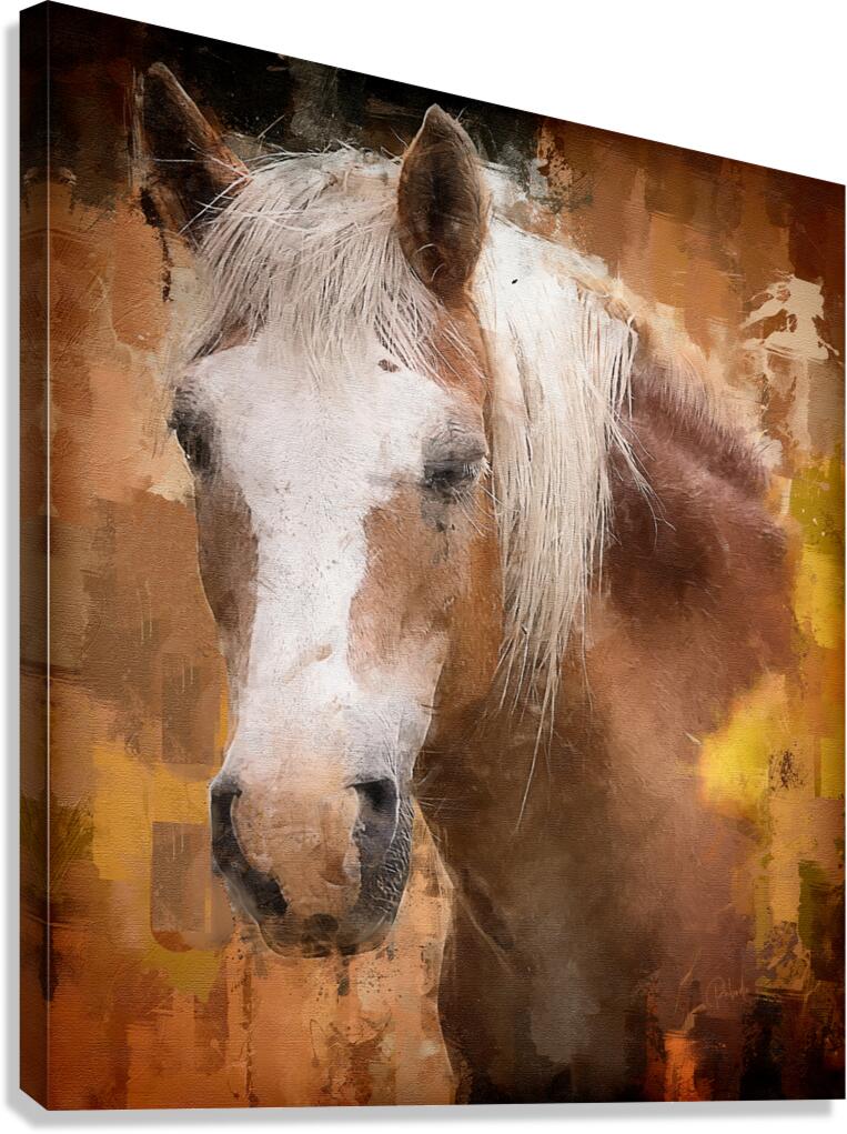 Beautiful Palomino Horse  Impression sur toile