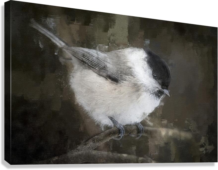 Willow Tit Bird Canvas print