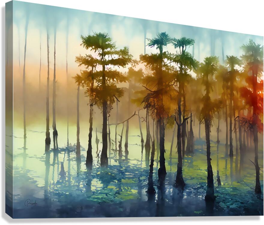 Cypress Trees in the Swamp Canvas print