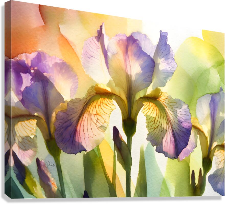 The Beautiful Iris  Impression sur toile