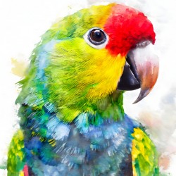 Electus Parrot Watercolor