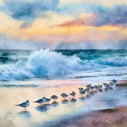 Sanderlings Along The Shore