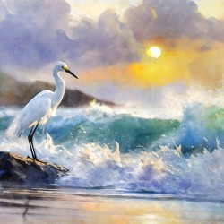 The Egret And The Rough Sea