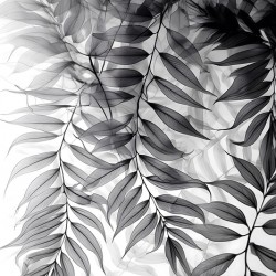 Tropical Transparencies III