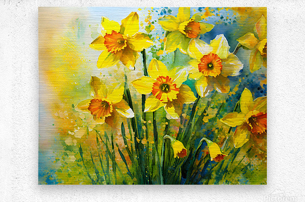 Bright Daffodills  Metal print