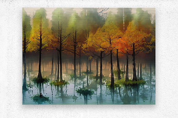 Cypress Trees in the Swamp II  Metal print