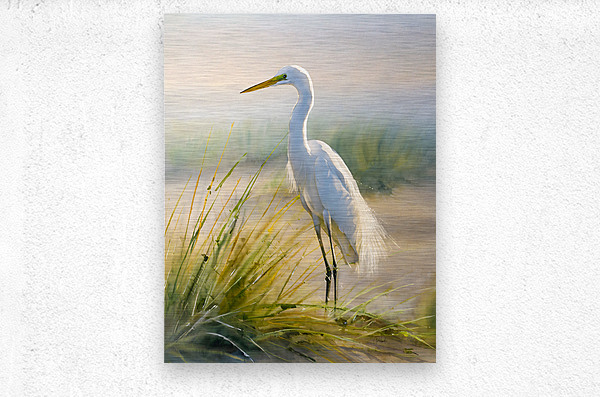 Egret By The Sea  Metal print