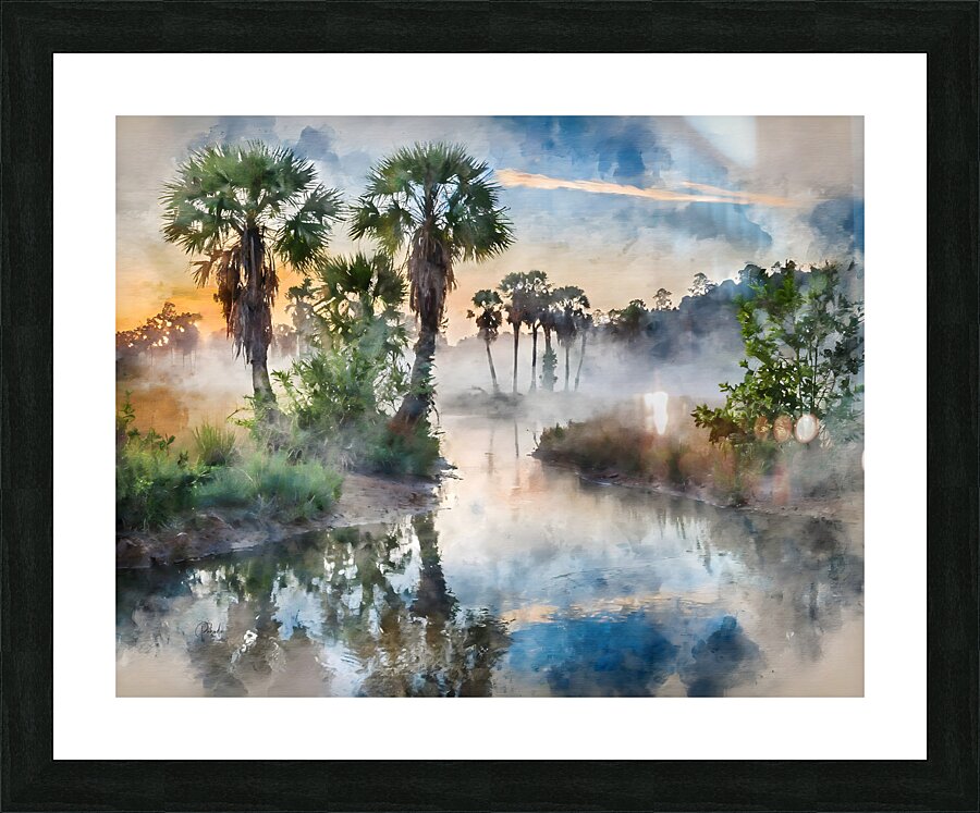 Bayou Sunrise Reflections  Framed Print Print