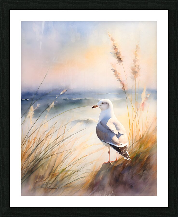 Seagull Perch  Framed Print Print