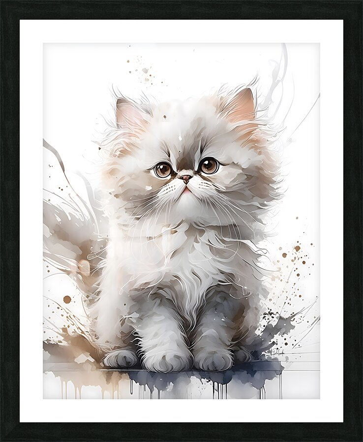 Seal Point Persian Kitten Picture Frame print