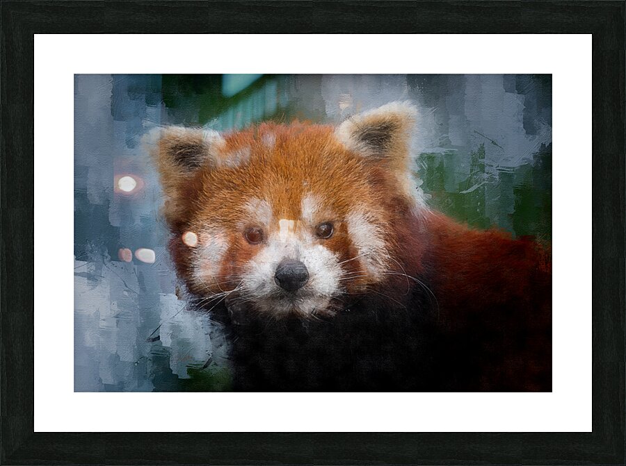 Red Panda Portrait Frame print