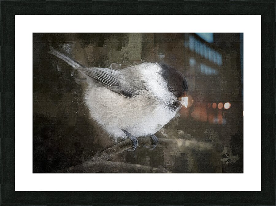 Willow Tit Bird Picture Frame print