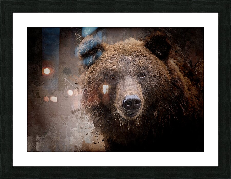 North American Brown Bear Frame print