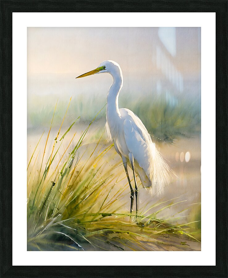 Egret By The Sea Picture Frame print