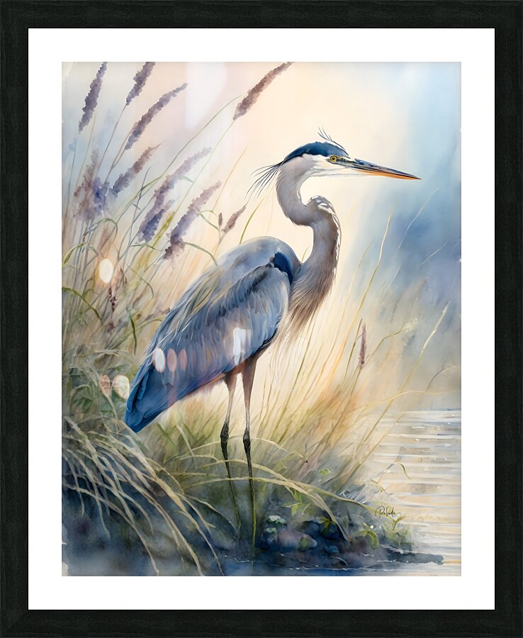 Blue Heron In The Seagrasses  Framed Print Print