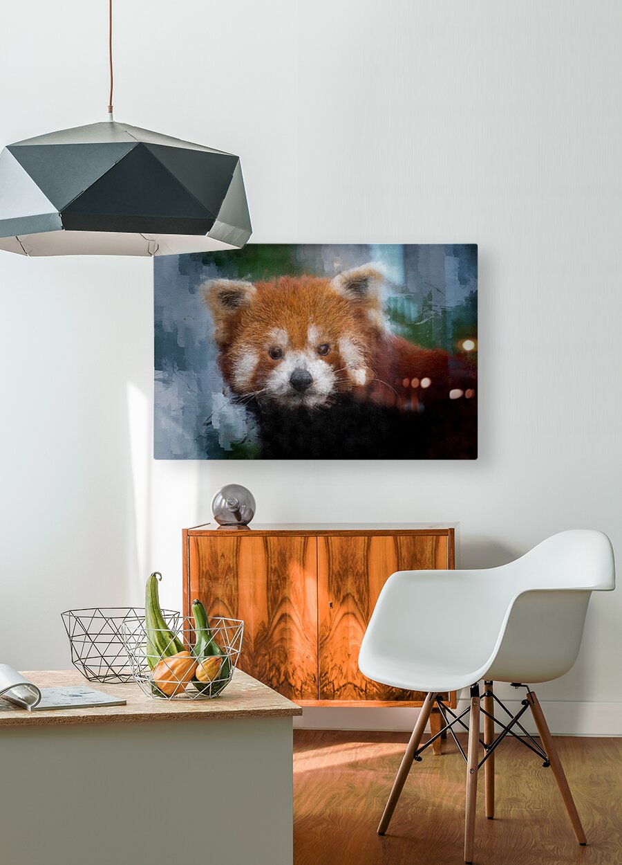 Red Panda Portrait  HD Metal print with Floating Frame on Back