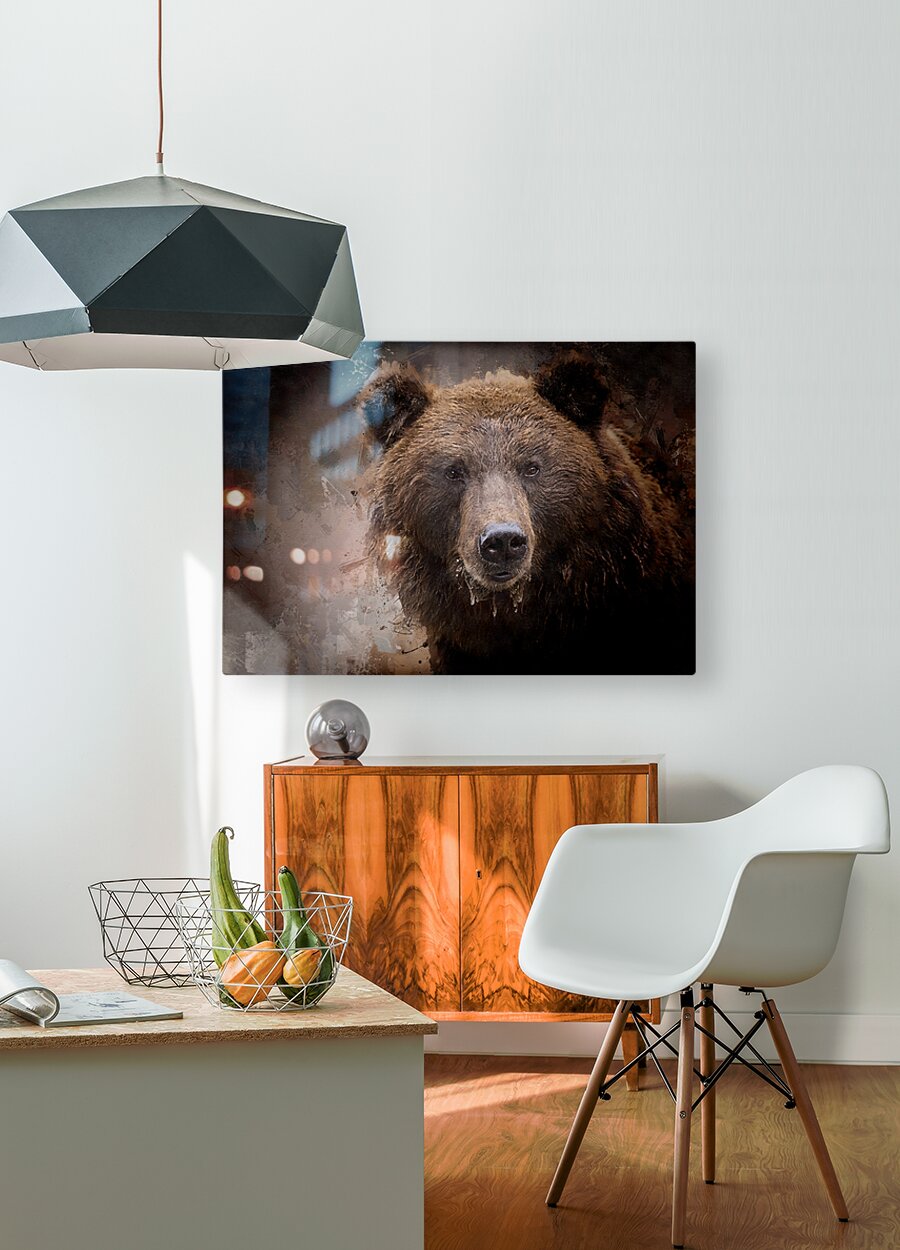 North American Brown Bear  HD Metal print with Floating Frame on Back