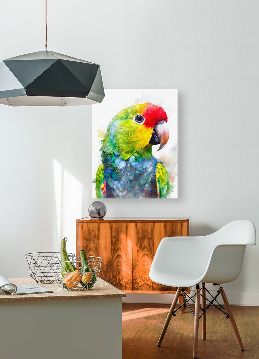 Electus Parrot Watercolor  HD Metal print with Floating Frame on Back