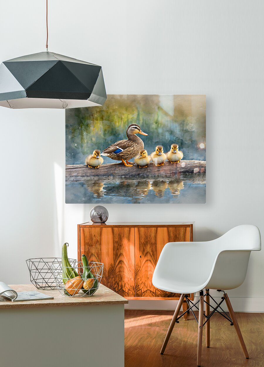 The Mallard Family Portrait  HD Metal print with Floating Frame on Back