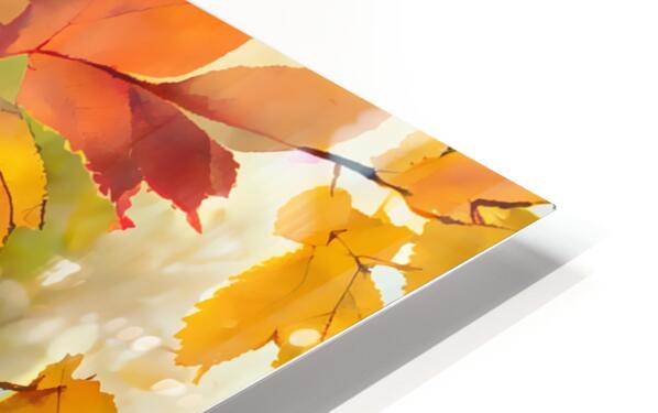 Fall Leaves in the Mist II HD Sublimation Metal print
