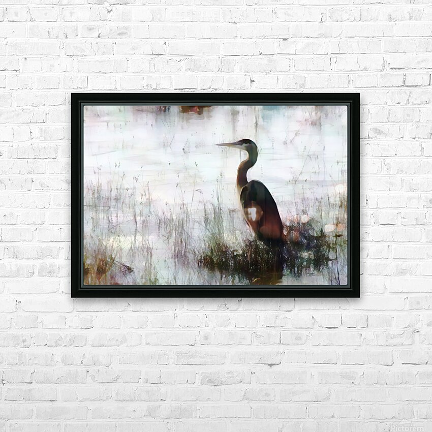 Great Blue Heron In The Shallows HD Sublimation Metal print with Decorating Float Frame (BOX)