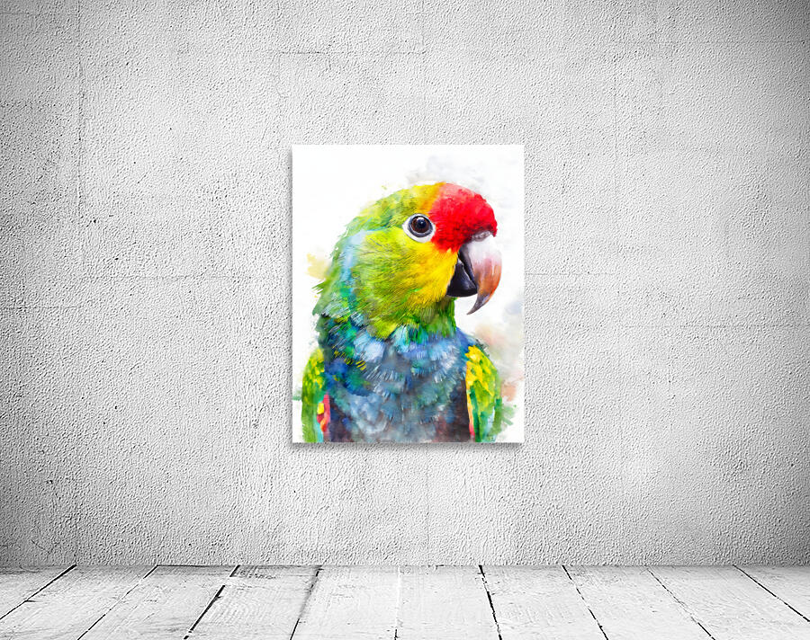 Electus Parrot Watercolor by Pabodie Art
