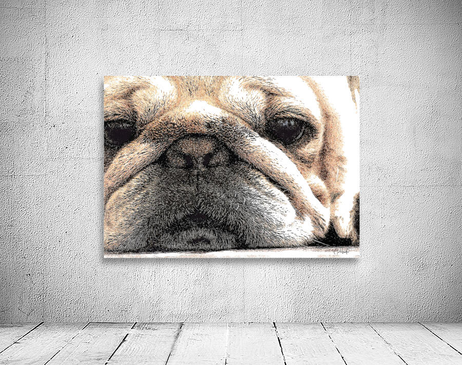 Fig The Miniature French Bulldog by Pabodie Art