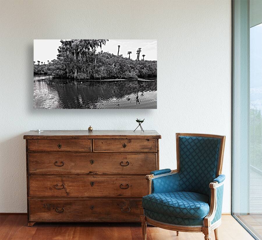 Find The Turtle Reproduction