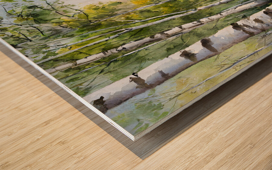 Path Through The Birches Wood print