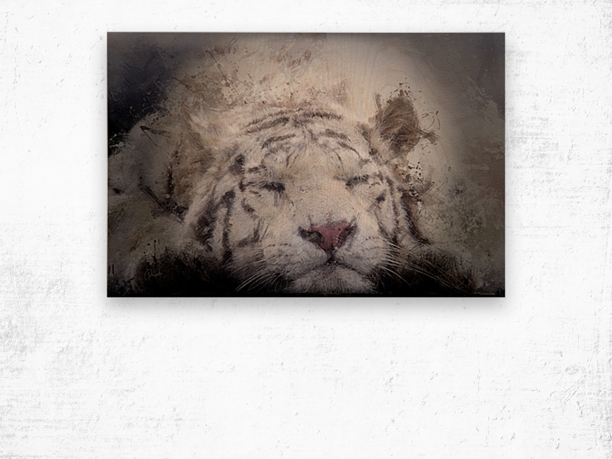 Sleepy White Tiger Wood print
