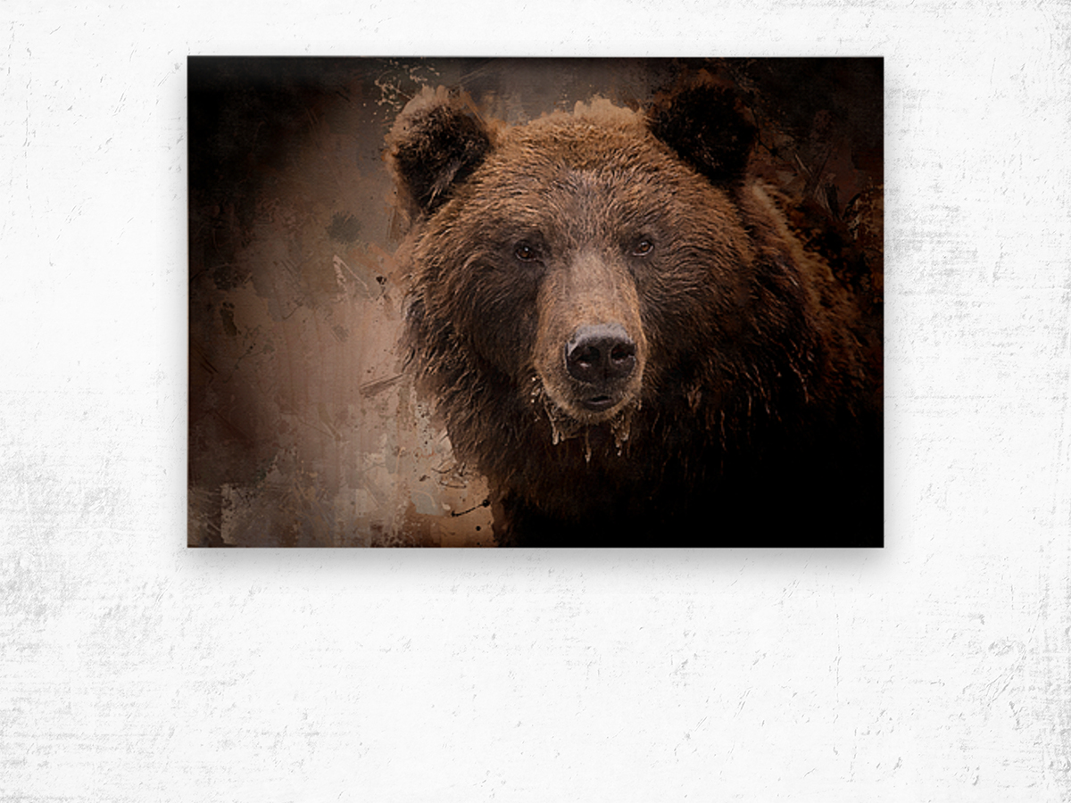 North American Brown Bear Wood print