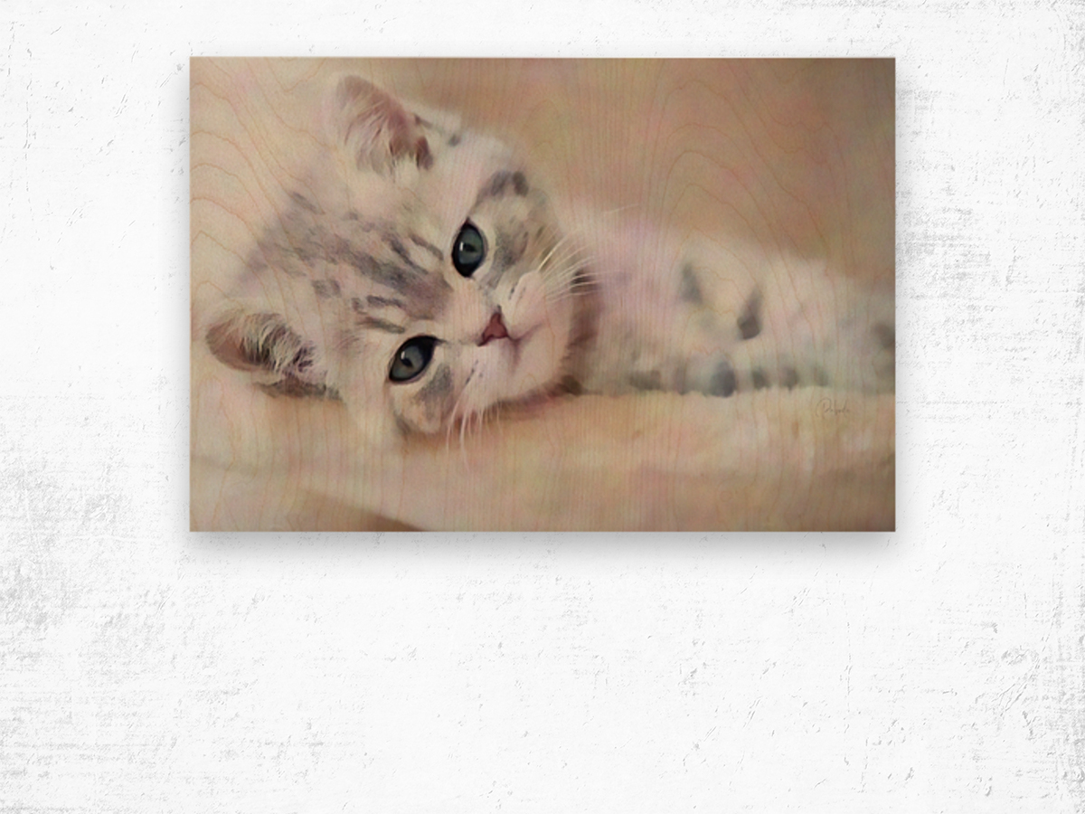 Kitty Cat Snuggling In Wood print
