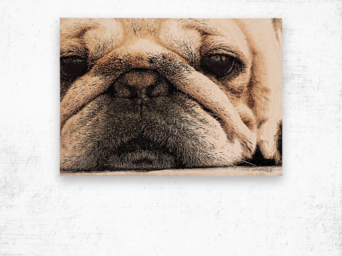Fig The Miniature French Bulldog Wood print